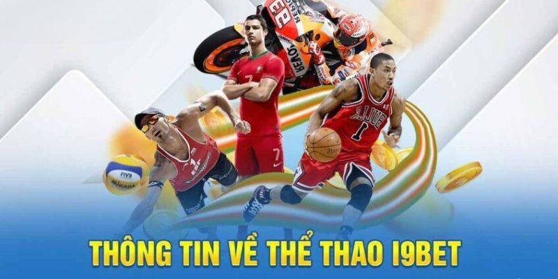 Khám phá một vài thông tin cơ bản về sảnh thể thao i9bet