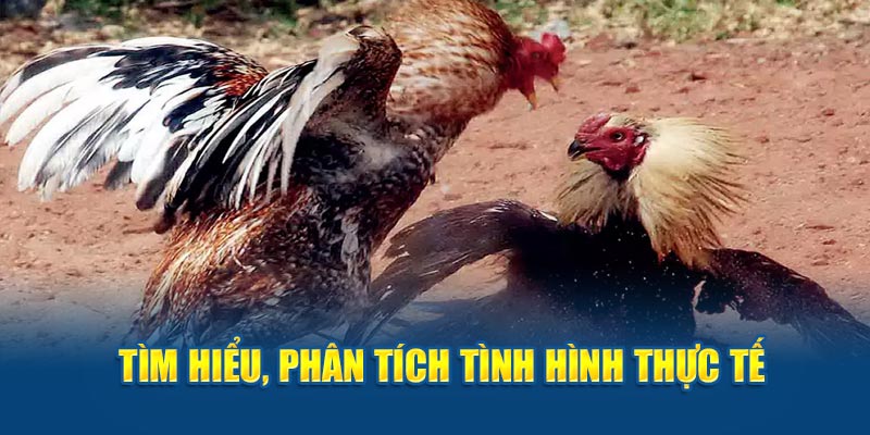 Tìm hiểu, phân tích tình huống thực tế